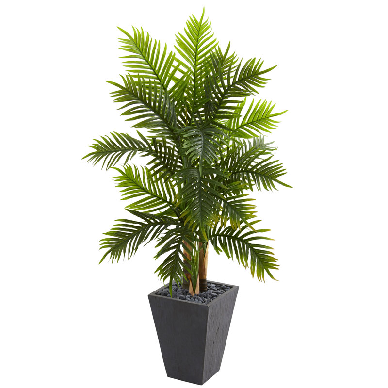 Bay Isle Home 66'' Artificial Palm Tree in Planter & Reviews Wayfair